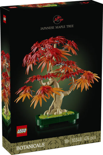 Bonsai-tre: Japansk lønn