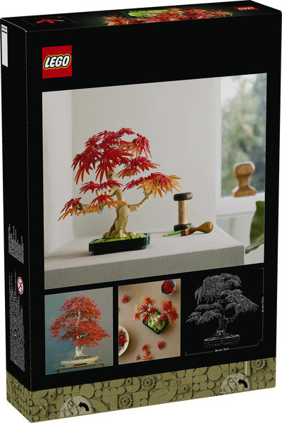 Bonsai-tre: Japansk lønn