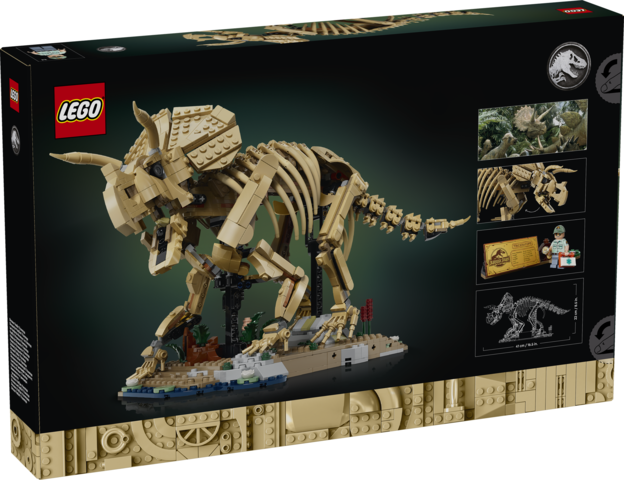 Dinosaurfossiler: Triceratops