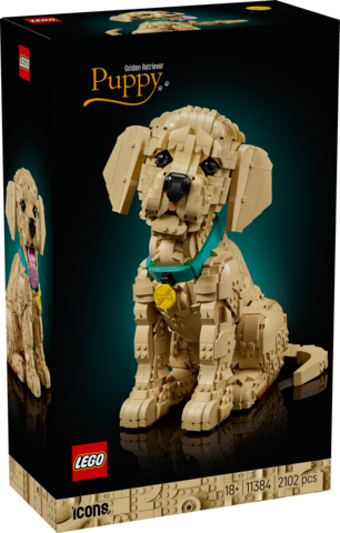Golden retriever-valp