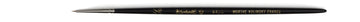 Raphael Retouch Spotter brush - Size 2