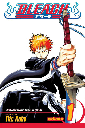 Bleach, Vol 1 (ENG)