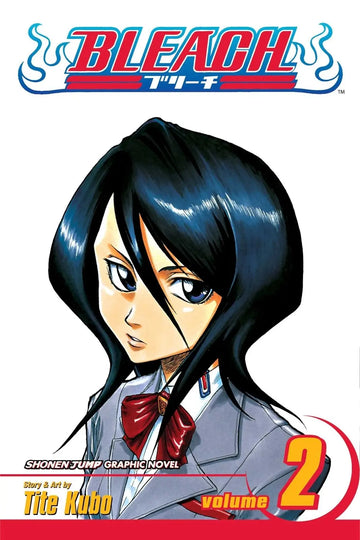 Bleach, Vol 2 (ENG)