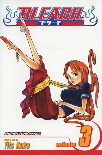 Bleach, Vol 3 (ENG)