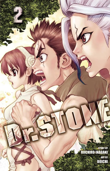 Dr. Stone, Vol 2 (ENG)