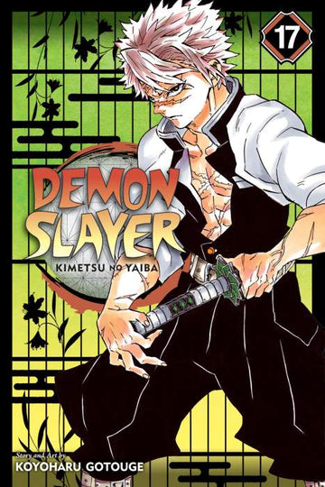 Demon Slayer, vol 17 (Eng)
