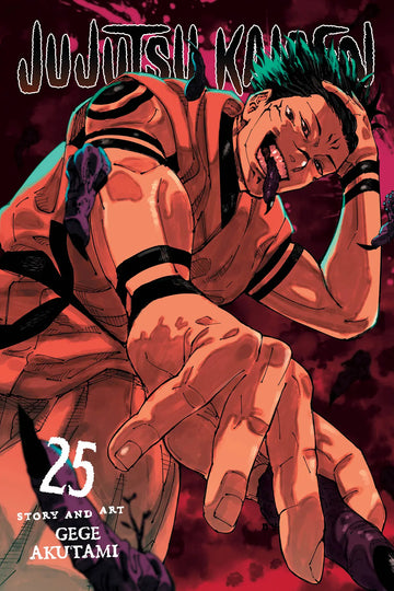 Jujutsu Kaisen, Vol 25 (ENG)