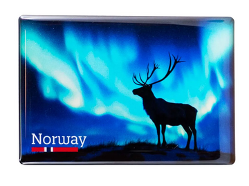 Magnet, Norgesserien, Norway 11