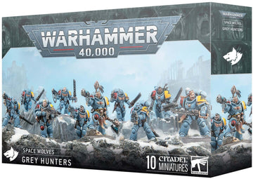 Space Wolves: Grey Hunters