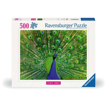 Påfugl 500p